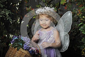 Little fairy