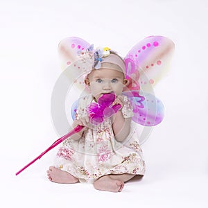 Little fairy