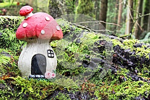 Little fairytale mushroom house