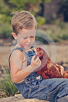 Little farm boy holding red chicken