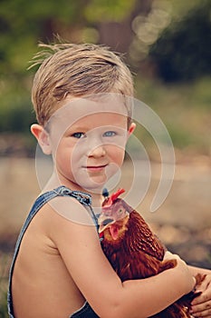 Little farm boy and red chicken