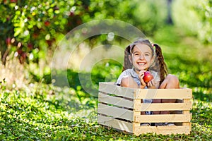 Little farmer girl spending sunny day in garden, having fun, sitting in a crate with apple in hands.