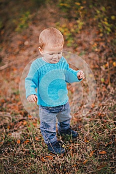 Little fashion boy in a forest wearing blue sweater and jeanse