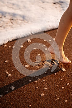 Little feet leave footprints on sandy shore of sea. walks on beach