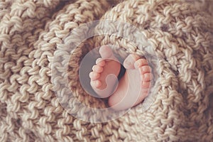 Little feet a newborn baby in a beige blanket