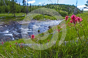 Little Firehole River near the Mystic Falls