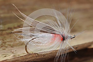 Small Fish Fly with Grey Wings on Wooden Background