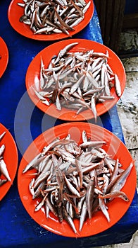 Little fish at market at tomohon city