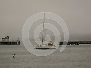 Little Fishing Boat Foggy Bay