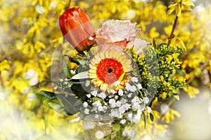 Little flower bouquet in nature background