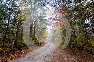 A little foggy road in Algonquin Provincial Park, Ontario, Canada