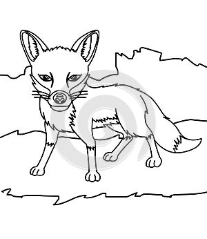 Little fox coloring page