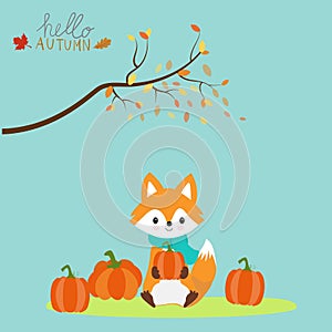 Little fox with pumpkins autumn season