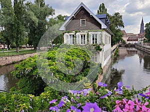 Little France, Strasbourg. The picturesque house in the middle of canal decorated with flower arrangements