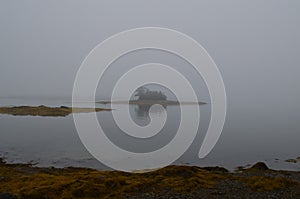 Little French Island in the Fog photo