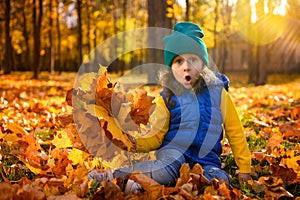 Little funny beautiful girl sitting on yellow maple fallen leaves in the forest. Child on a walk in the autumn park. Preschool