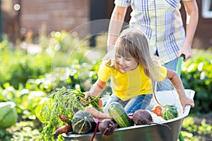 Little funny girl inside wheelbarrow with