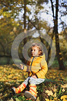 Little funny girl in stylish yellow warm jacket, jeans, orange rubber boots sits on old tree stump in autumn forest or park