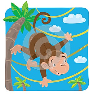 Little funny monkey on lians