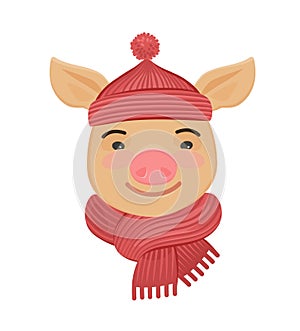 Little funny pig in a knitted hat and scarf. Cartoon vector illustration