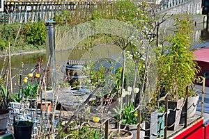 Little garden on a boat