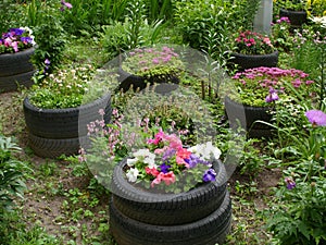 Little garden with flowerbeds