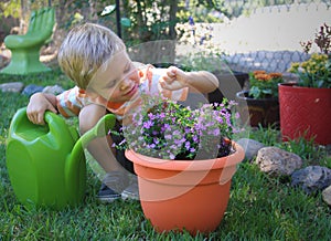 Little Garden Helper