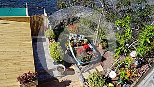 A little garden by the sea with an old boat used a flowerbed