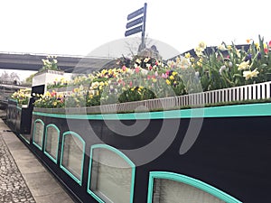 A little garden on top of a narrowboat