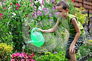 Little gardener