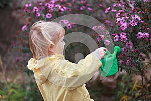 Little gardener