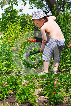 Little gardener