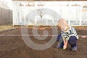 Little gardener