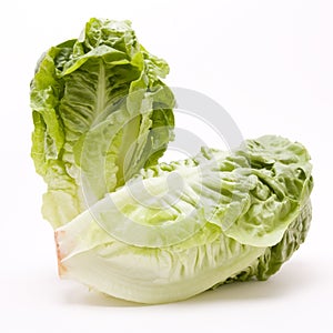 Little Gem lettuce photo