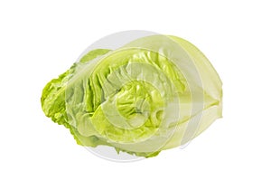 Little gem lettuce