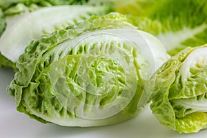 Little gem lettuce on white