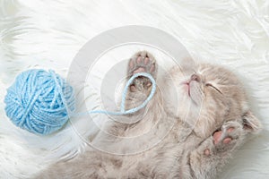 Little ginger kitten sleeps on a white carpet. Sleep. relaxation. Close-up
