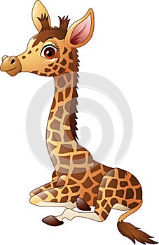 Little giraffe calf sitting