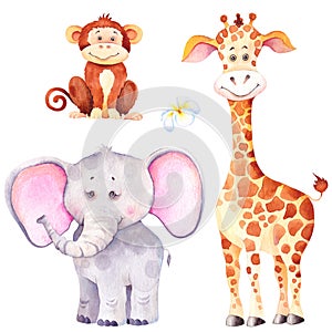 Little giraffe, elephant and monkey. African cartoon animal cubs.