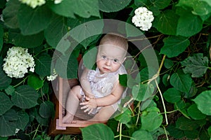 Little girl 10 months old sitting in flowers in summer in a beautiful dress, top view, artistic photo of a child in the grass
