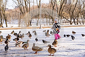 little girl 3-4 years old in pink pants, a jacket and hat holds bread in her hands and feeds ducks and pigeons