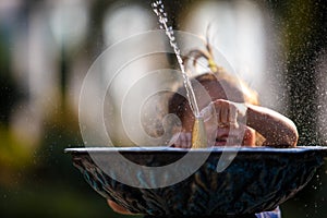 A little girl of 3 years old plays on the street with a stream of drinking fountain and enjoys the spray.