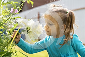 Little girl 4 years old in a blue dress with wariness looks at a peony flower