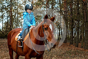 Little girl on an adult brown horse on the background of nature. Jockey, epodrome, horseback riding