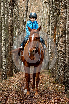 Little girl on an adult brown horse on the background of nature. Jockey, epodrome, horseback riding