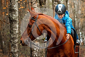 Little girl on an adult brown horse on the background of nature. Jockey, epodrome, horseback riding