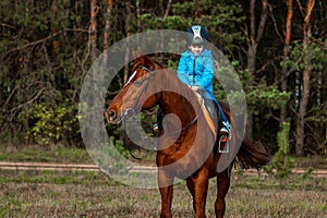 Little girl on an adult brown horse on the background of nature. Jockey, epodrome, horseback riding