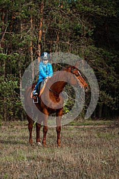 Little girl on an adult brown horse on the background of nature. Jockey, epodrome, horseback riding