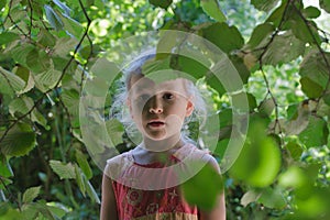Little girl adventure in common hazel shrubbery hedgerow photo