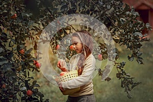 Little girl in the apple garden